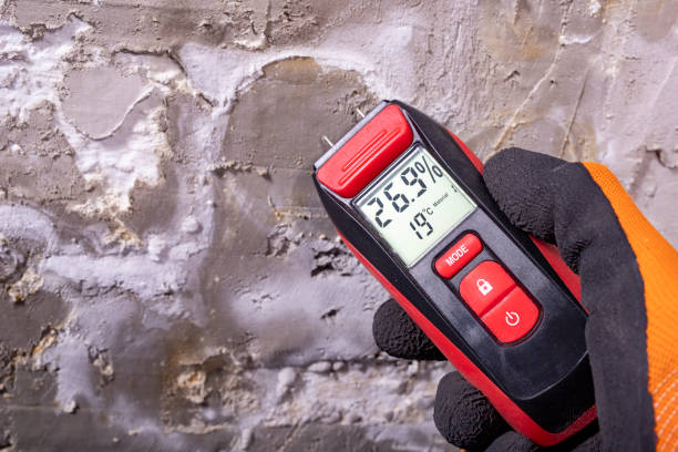 Best Mold Damage Repair  in Kiawah Island, SC