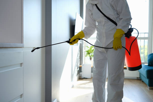 Best Mold Removal Specialists  in Kiawah Island, SC
