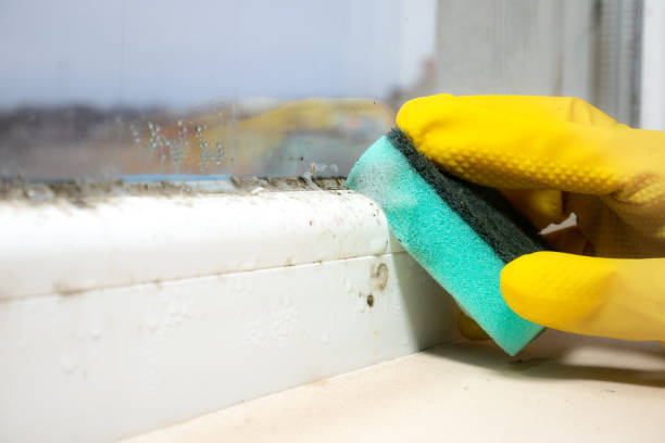 Best Residential Mold Removal  in Kiawah Island, SC
