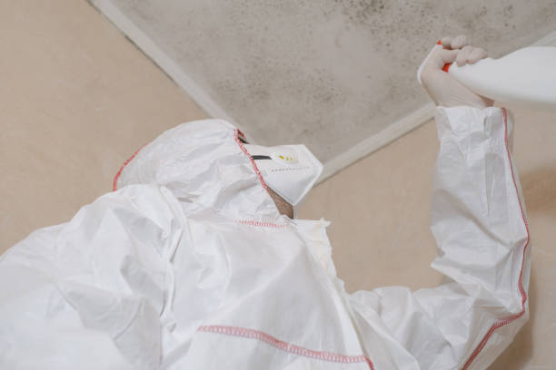 Best Certified Mold Removal  in Kiawah Island, SC